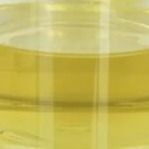 تثبیت کننده اصلاح کننده روغن روغن Pentaerythrityl Oleate PETO Liquid CAS 19321-40-5