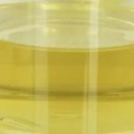تثبیت کننده اصلاح کننده روغن روغن Pentaerythrityl Oleate PETO Liquid CAS 19321-40-5
